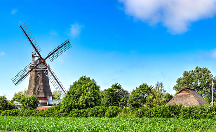 Föhr Landschaft