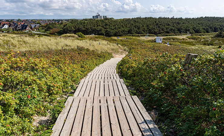 Sylt Landschaft